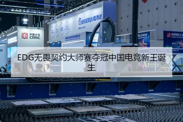EDG无畏契约大师赛夺冠中国电竞新王诞生