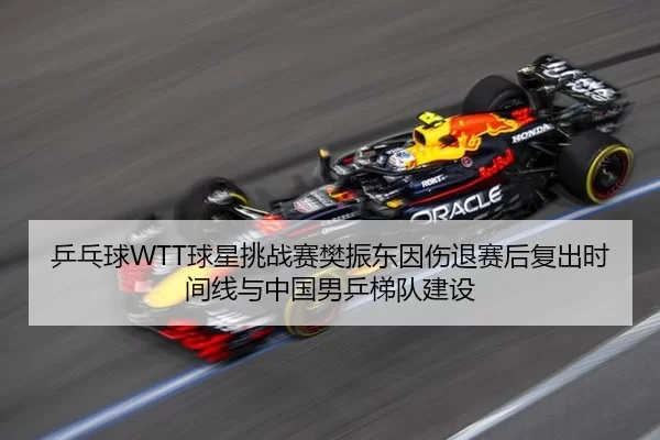 乒乓球WTT球星挑战赛樊振东因伤退赛后复出时间线与中国男乒梯队建设